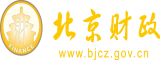 鸡巴插进了蜜桃里北京市财政局