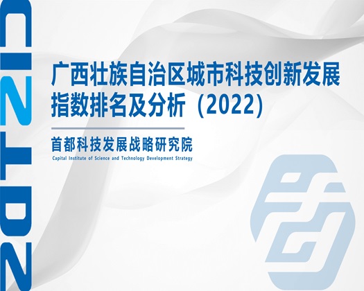 啊爽鸡巴操逼逼视频【成果发布】广西壮族自治区城市科技创新发展指数排名及分析（2022）